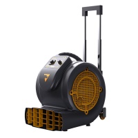     Chancee FA650